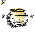 NBS Blog Logo
