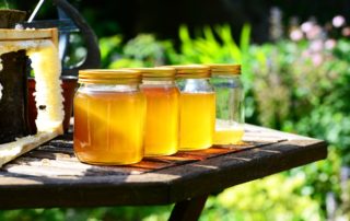 science and health benefits of honey for the national bee supplies blog