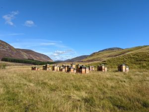 nbspoty hives category for nbs national bee supplies photography competition